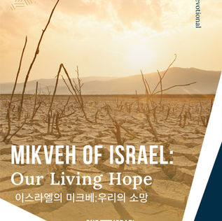 이스라엘의 미크베:우리의 산 소망