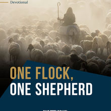한 양 떼, 한 목자