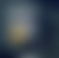 인질들이 돌아올 것입니다!