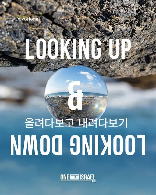 올려다보고 내려다보기