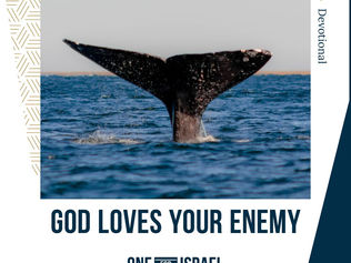  하나님은 당신의 원수를 사랑하십니다