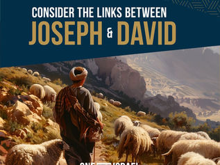 [오늘의 묵상] 요셉과 다윗의 관계를 생각해 보세요