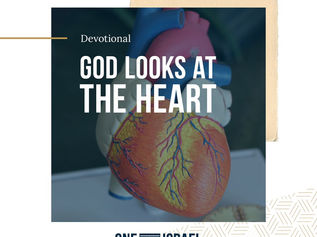 [오늘의 묵상] 나 여호와는 중심을 보느니라