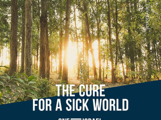  병든 세상을 위한 치료