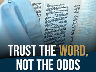 다른 것 말고 말씀을 믿으세요!