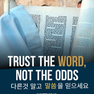 다른 것 말고 말씀을 믿으세요!