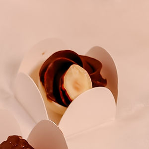 Gianduja