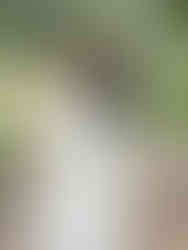 Couple sharing a kiss after first look on their wedding day