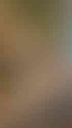 Tablescape at luxury wedding where couple avoided wedding planning mistakes