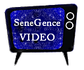 SeneGence Videos LipSense Stay on lipstick