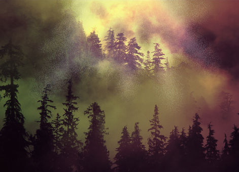 Everlasting to Everlasting