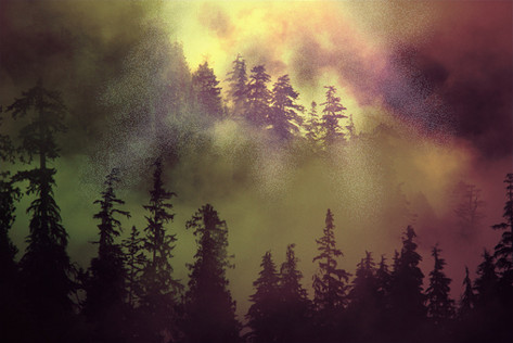 untitled image