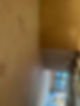 damp protection and plastering work by Lee & Sons Renovations