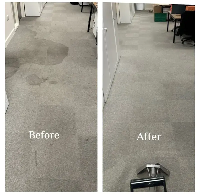 before and after image of professional carpet cleaning