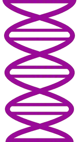 A series of overlapping, wavy lines in a purple color.