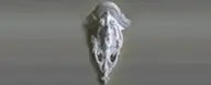 Eagle 310mm x 310mm x 150mm
