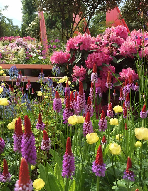 Lush garden with vibrant flowers and green foliage