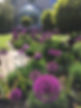 garden design and soft landscaping project near Gillingham