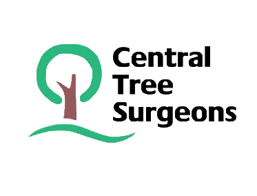 Writer: Central Tree Surgeons