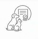 ChatGPT Image 22_edited.png