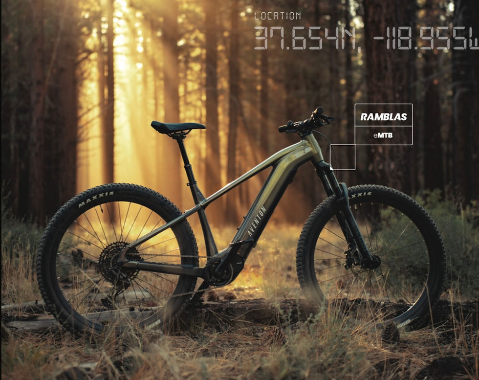 Thumbnail: Aventon Ramblas