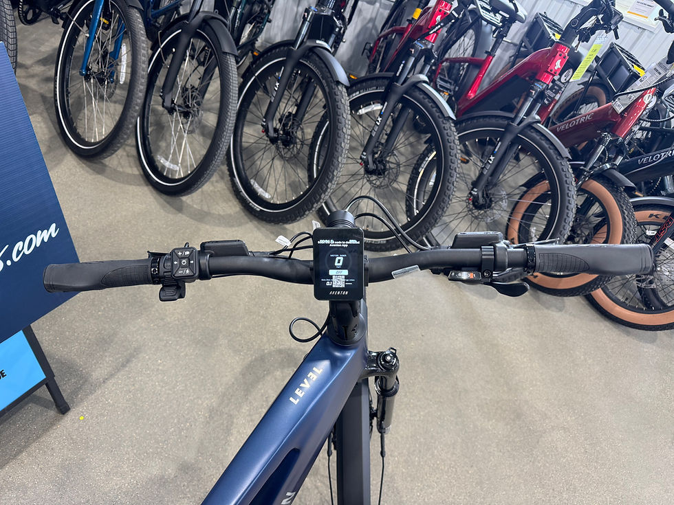 Thumbnail: Level 4 REC Ebike Matte Storm Blue