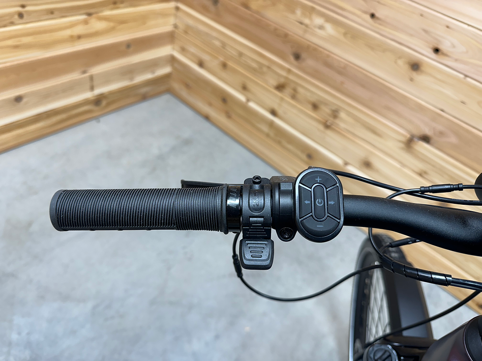 Thumbnail: Aventon Level 3 Matte Aurora