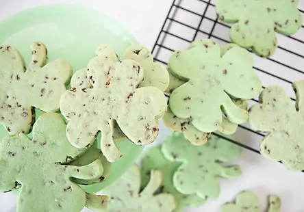 Mint Chocolate Chip Sugar Cookies
