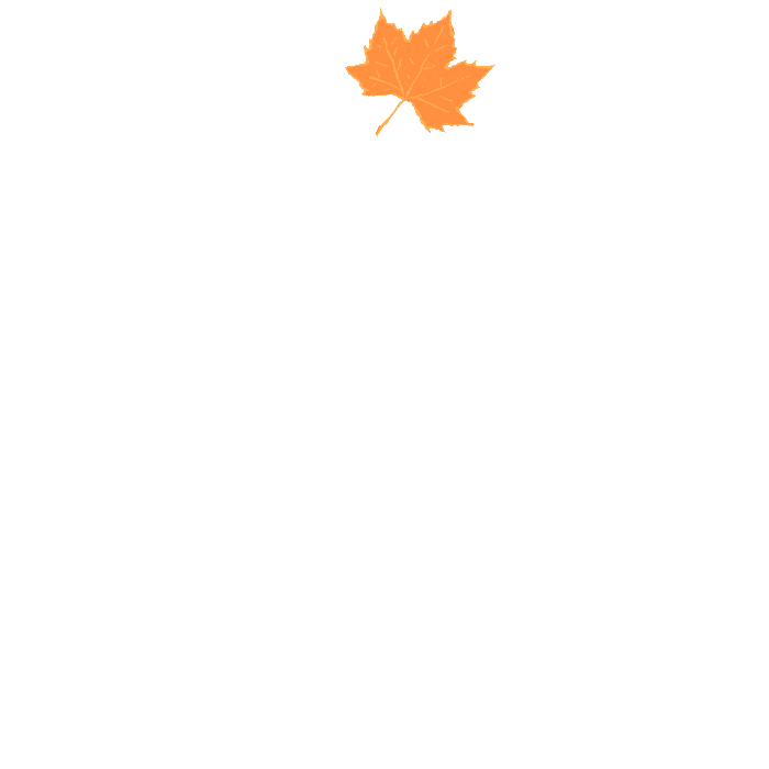 source (5).gif