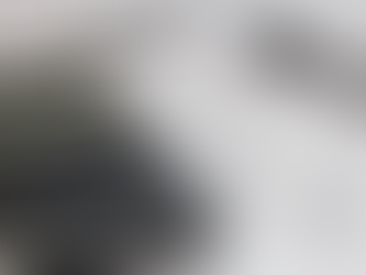 Lei 13.818 dispensa publicação de balanços