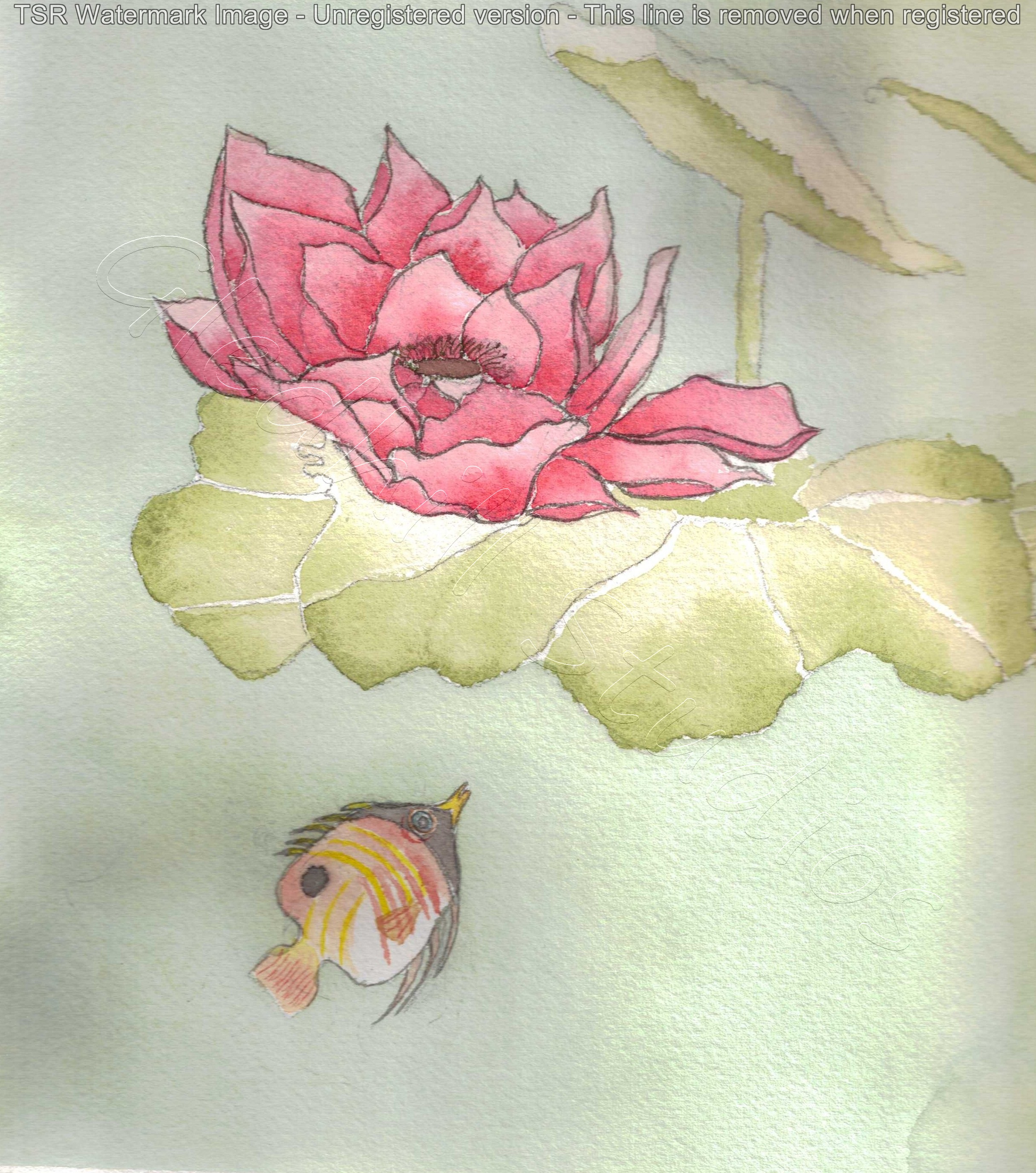 Fish and Lotus