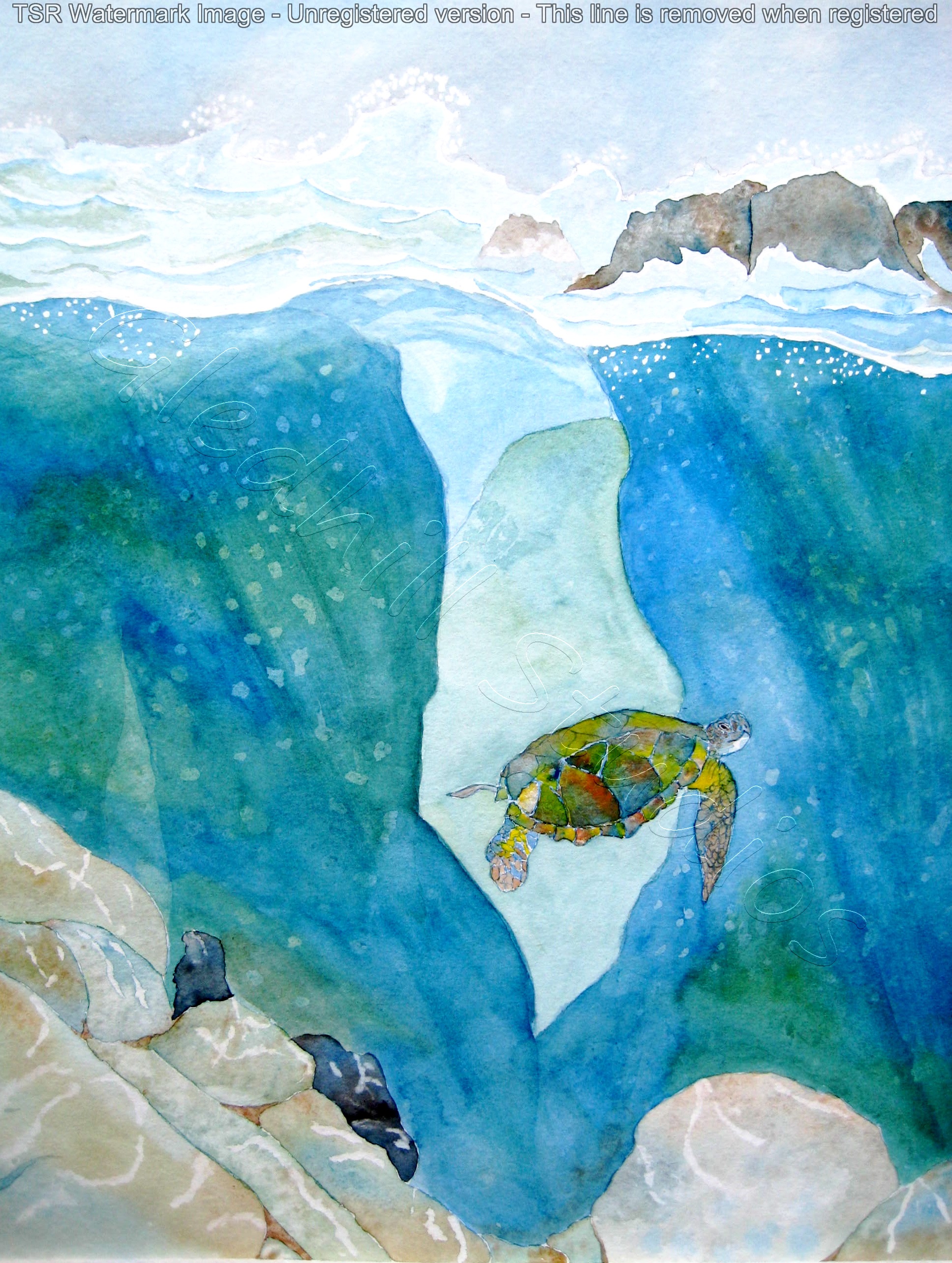 Turtle Speaks