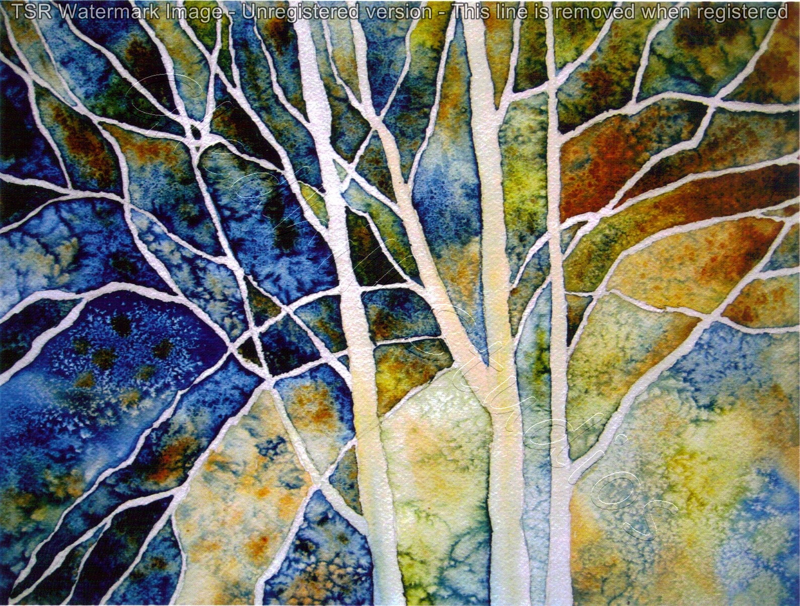 Birches