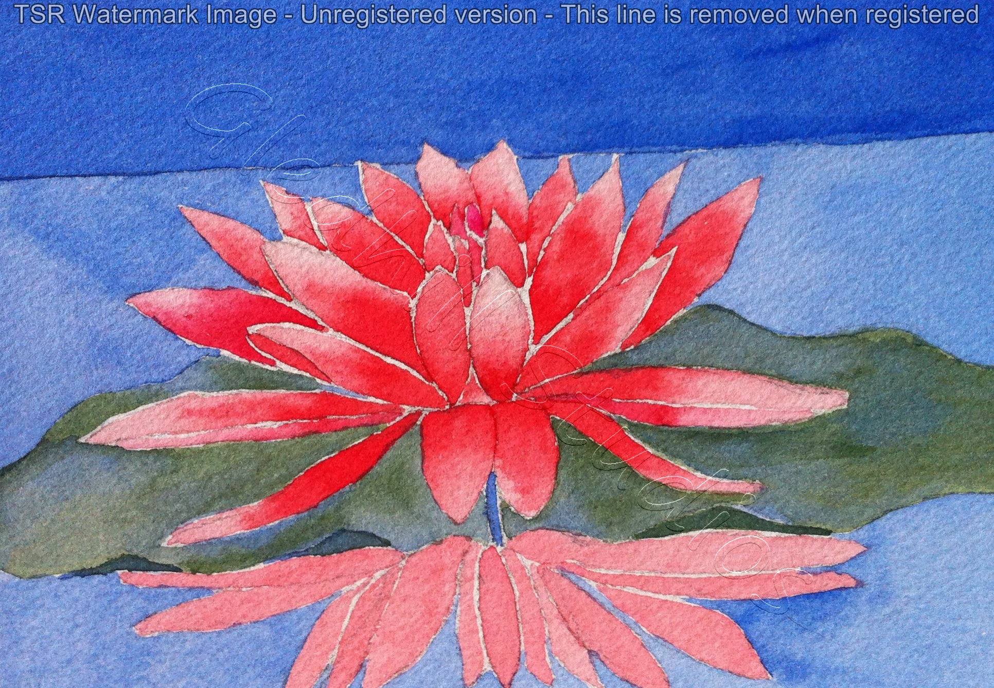 Red Lotus