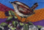 Wren detail.jpg