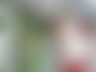 Trouver un Réparateur de Volet Roulant de Confiance Près de Chez Vous !