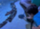 Child at New Sea Lab