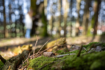 27 - R6II0445.jpg