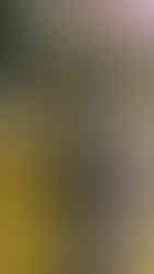 The Rented 2018 Model Thunderbird 350X 