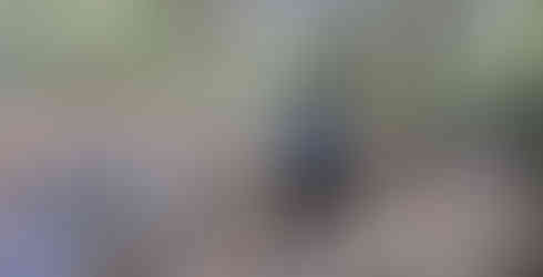 Mid trek break for photoshoot by the stream