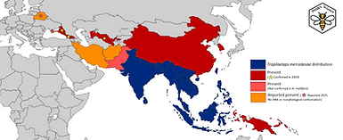 Map 2025.png