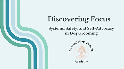 Fundamentals- Discovering Focus.png