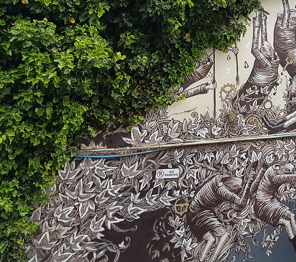 New Zealand Street Art