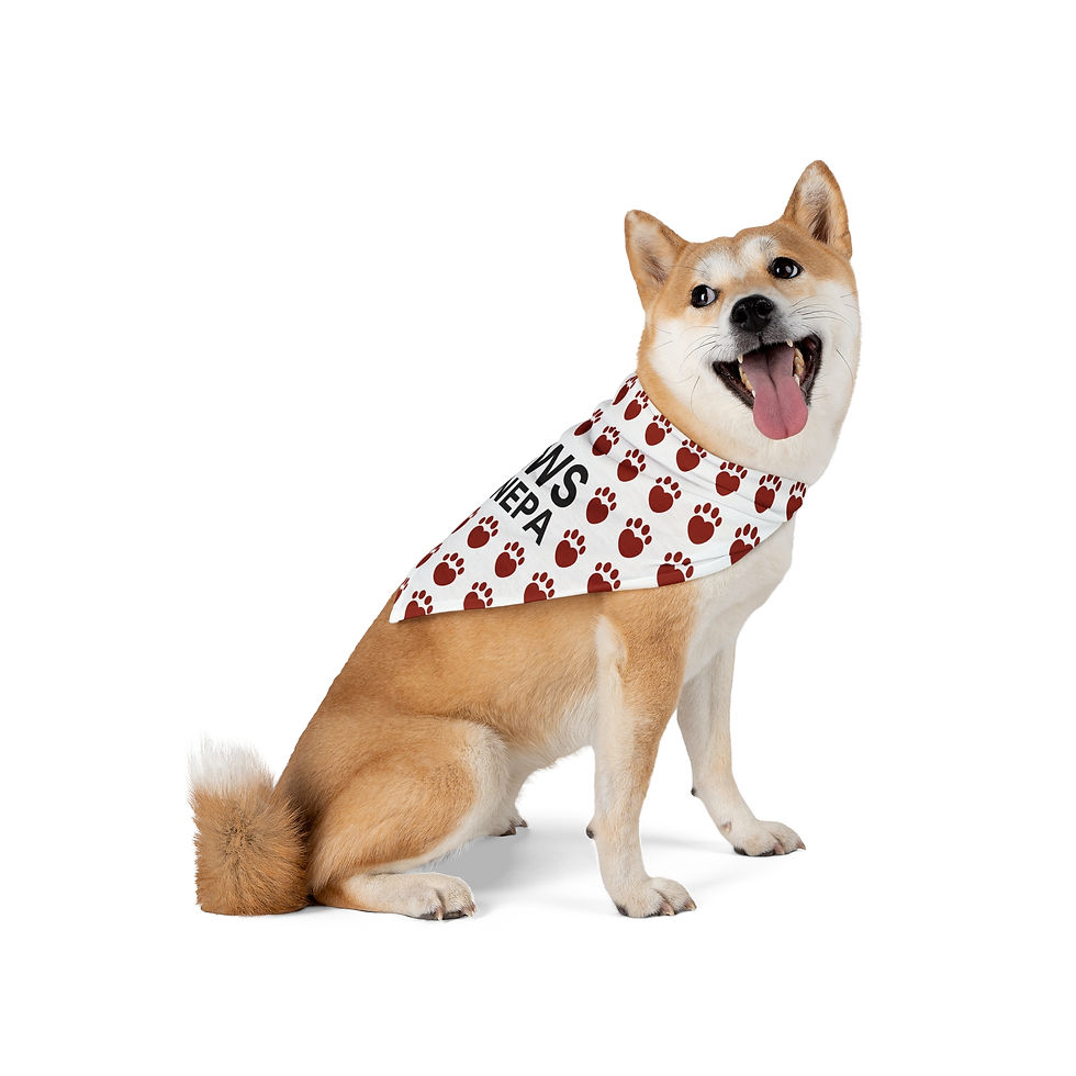 Thumbnail: Pet Bandana