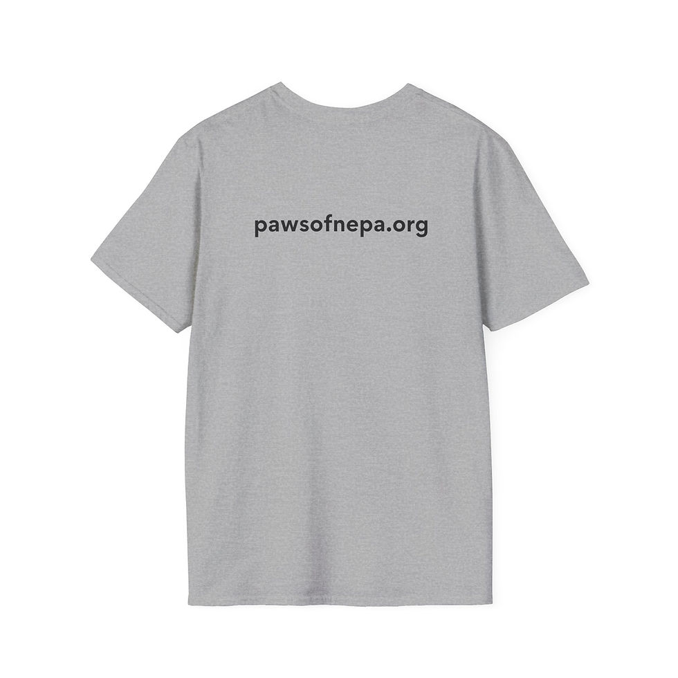 Thumbnail: Unisex Softstyle T-Shirt