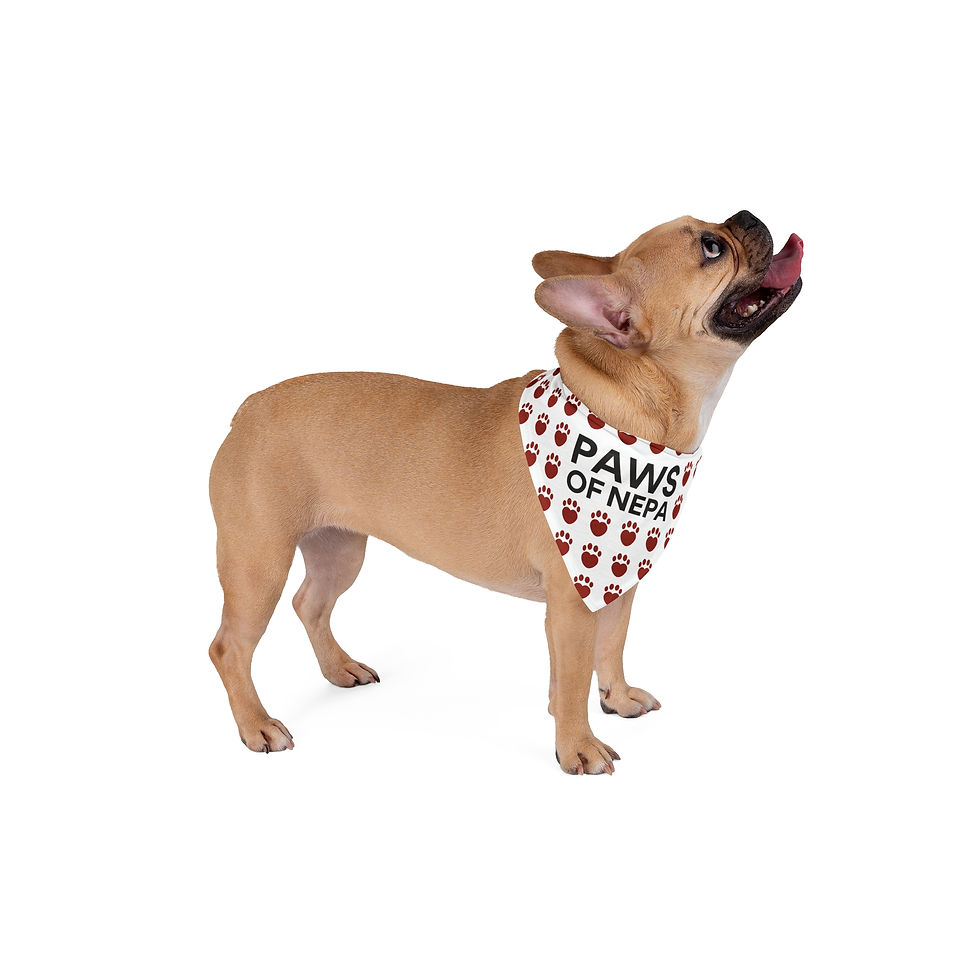 Thumbnail: Pet Bandana