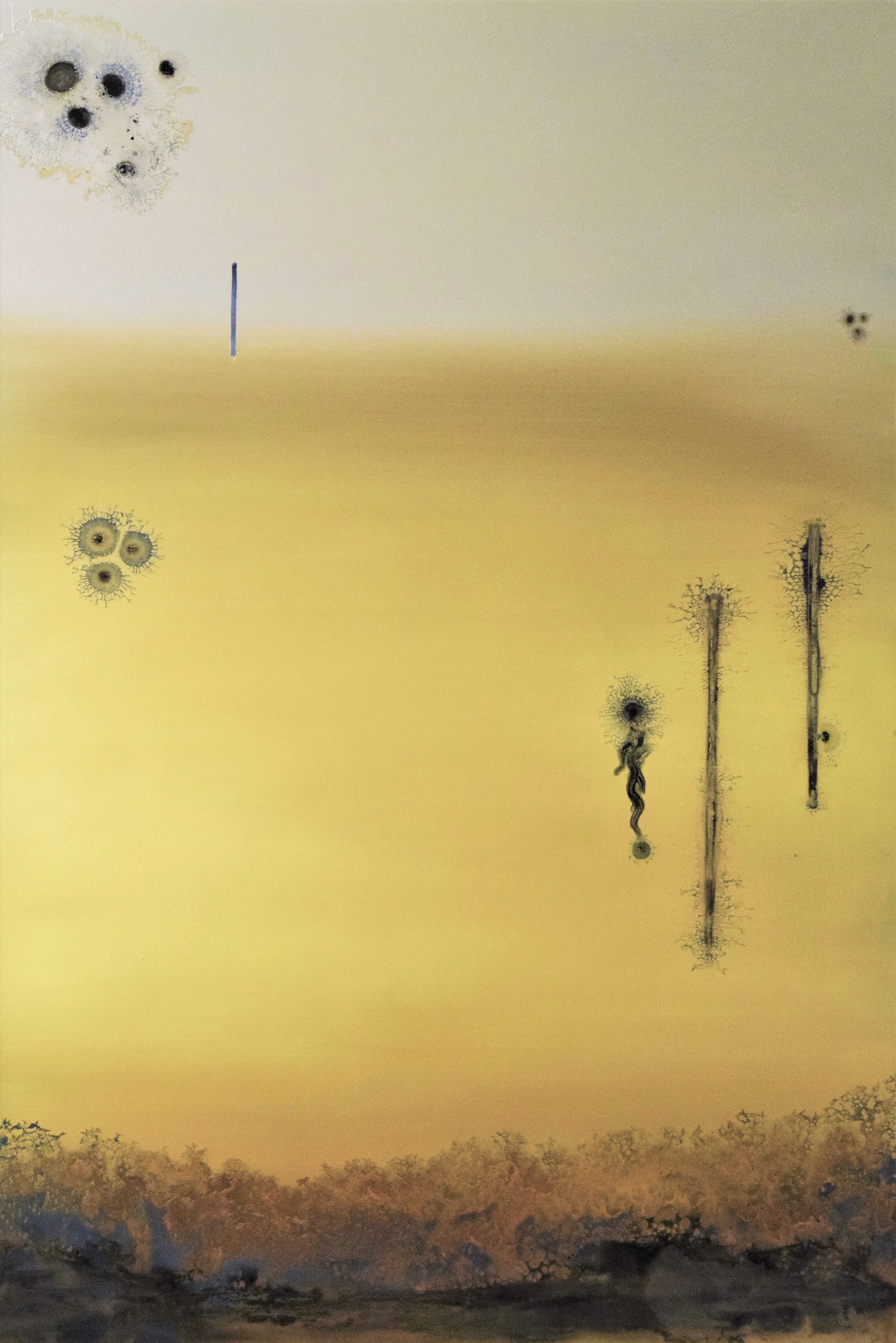 Initial Desolation