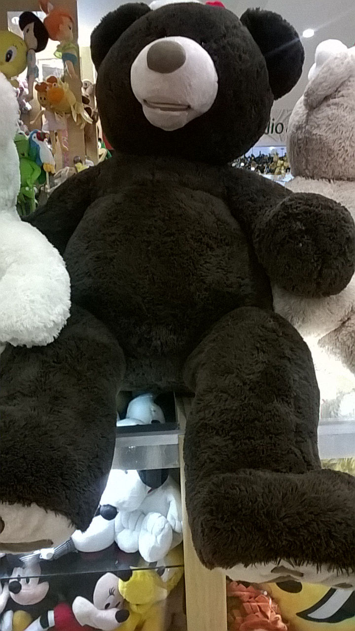 oso gigante 1300q mide 1.70 metros