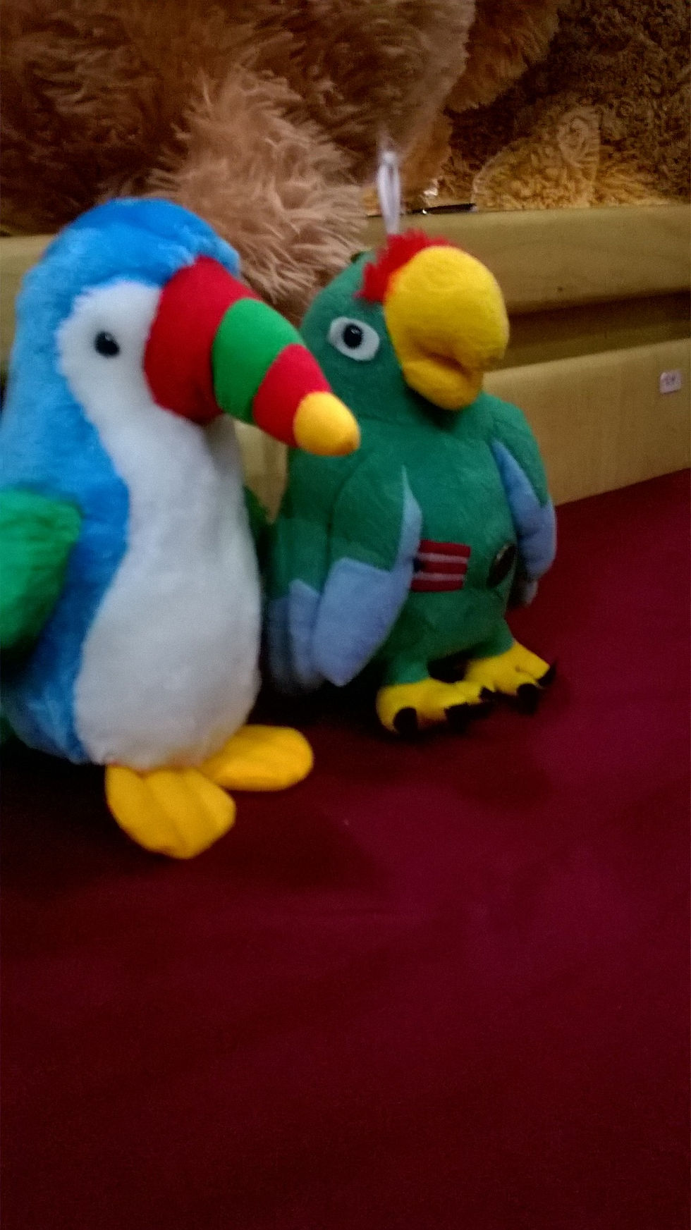 loro y tucan 45 c-u