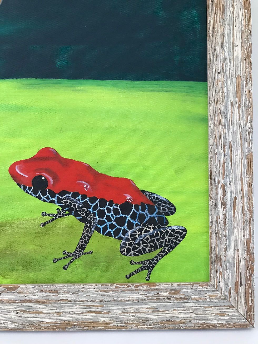 Amazonian Poisonous Frog